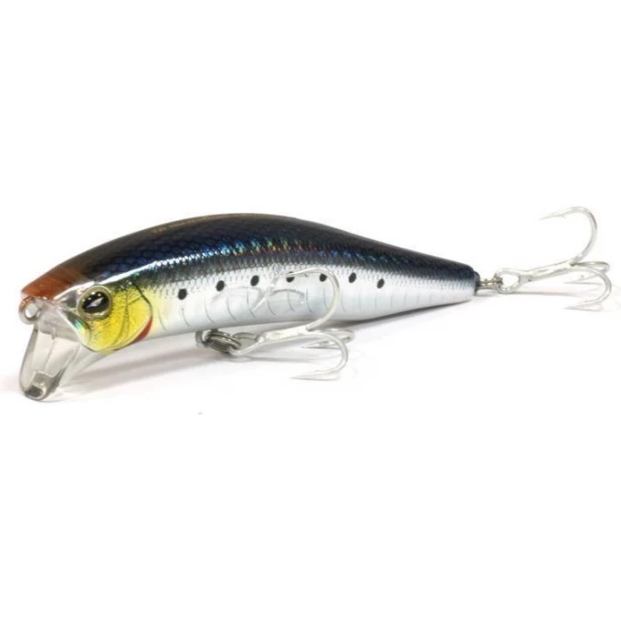 Воблер DAIWA MORETHAN CROSS WAKE 111SSR-F / MORETHAN IWASHI (4145) 4960652907934 Воблер DAIWA MORETHAN CROSS WAKE 111SSR-F / MORETHAN IWASHI (4145) 4960652907934